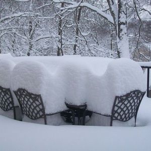 Meet your Posher, Al